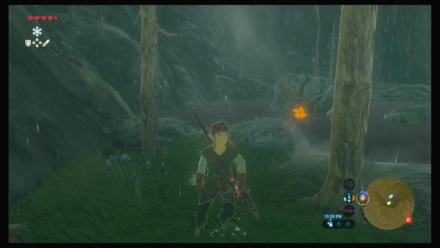 Botw - Faron Korok 55 Overworld View