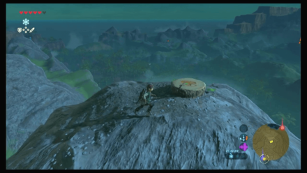 Botw - Faron Korok 56 Overworld View