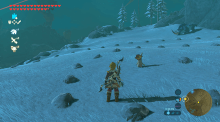 Botw - Hebra Korok 70 Overworld View