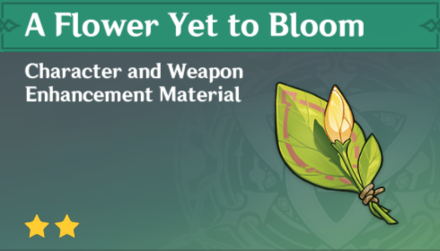 Genshin Impact - How to Get A Flower Yet to Bloom and Effects