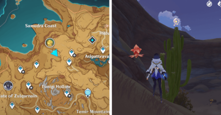 Genshin - Plume of Purifying Light 10