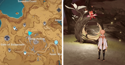 Genshin - Plume of Purifying Light 19