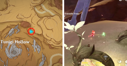 Genshin - Fravashi Tree 4 - Tunigi Hollow