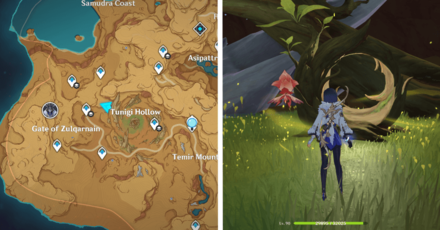 Genshin - Plume of Purifying Light 20