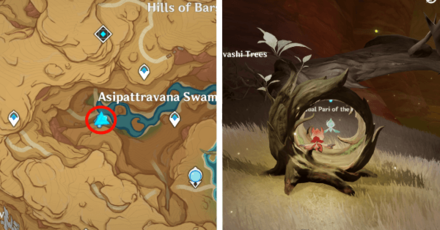 Genshin - Fravashi Tree 9 Asipattravana Swamp