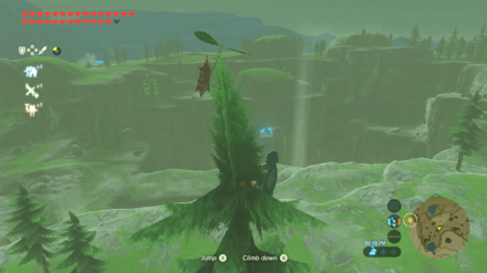 Botw - Akkala Korok 2 Overworld View