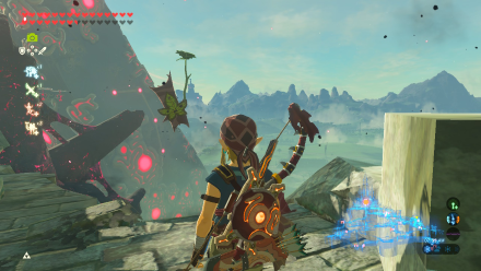 Botw - Central Korok 93 Overworld View