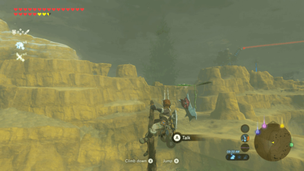 Botw - Lake Korok 87 Overworld View