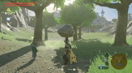 Botw - Lake Korok 29 Overworld View