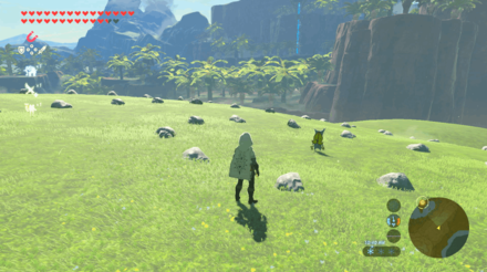 Botw - Lake Korok 32 Overworld View