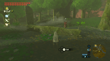 Botw - Lake Korok 28 Overworld View