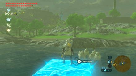 Botw - Lake Korok 30 Overworld View