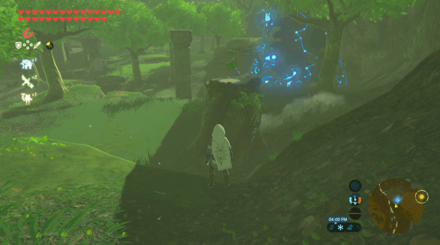 Botw - Lake Korok 26 Overworld View