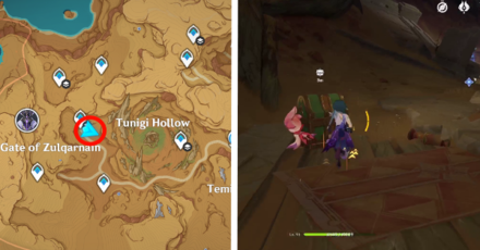 Genshin - 3.6 Desert Remarkable Chest 10