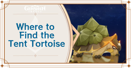 Genshin Impact - Where to Find Tent Tortoise and Basic Information