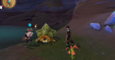 Genshin - Tent Tortoise in its Shell