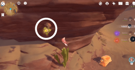 Genshin - Nirodha Fruit Puzzle 13