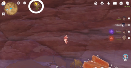 Genshin - Nirodha Fruit Puzzle 11