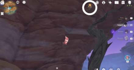 Genshin - Nirodha Fruit Puzzle 5