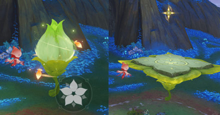 Genshin - Interact 5 - Rueblight Bloom