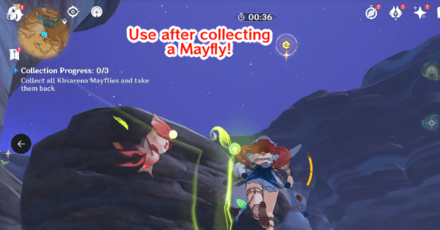 Genshin - Khvarena Mayfly Puzzle 2