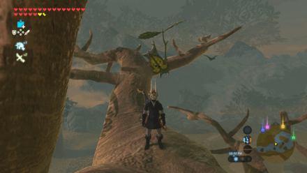 Botw - Lake Korok 81 Overworld View