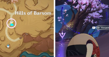 Elder Pine Atop the Wastes Viewpoint