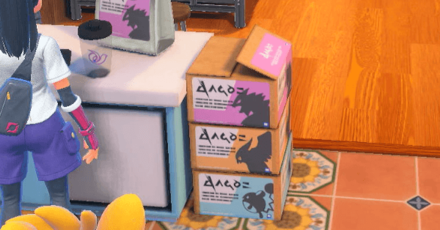 Pokemon Scarlet and Violet SV - Nemona Dorm Room Pokemon Food