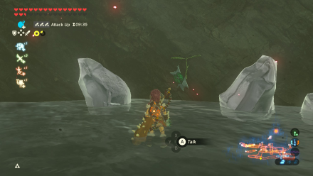 Botw - Central Korok 107 Overworld View