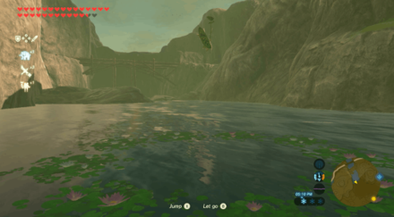 Botw - Lake Korok 36 Overworld View