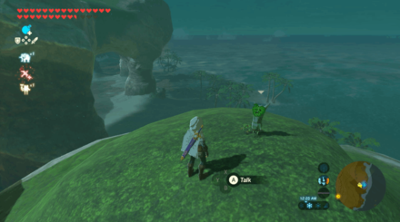 Botw - Lake Korok 42 Overworld View