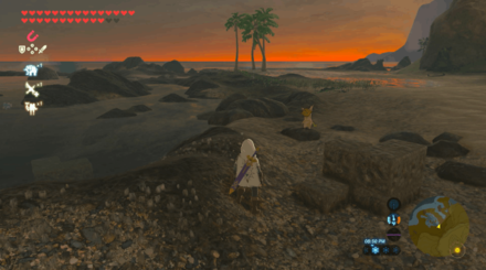 Botw - Lake Korok 39 Overworld View
