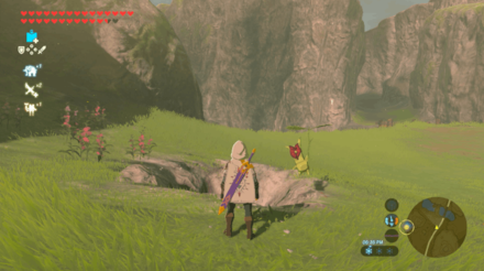 Botw - Lake Korok 37 Overworld View