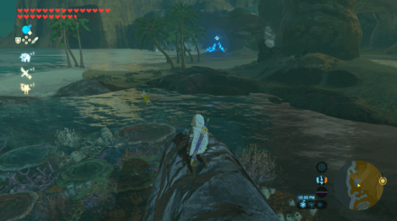 Botw - Lake Korok 40 Overworld View