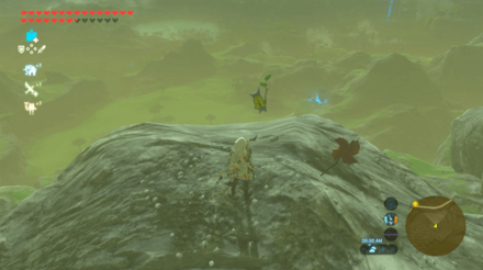 Botw - Lake Korok 44 Overworld View