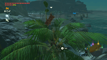 Botw - Lake Korok 79 Overworld View