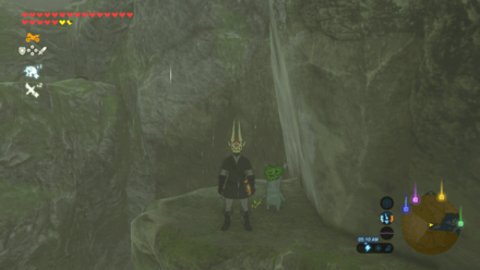 Botw - Lake Korok 71 Overworld View