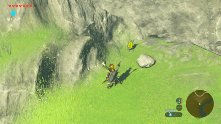 Botw - Lake Korok 49 Overworld View