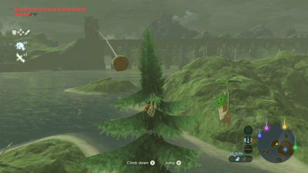 Botw - Lake Korok 67 Overworld View