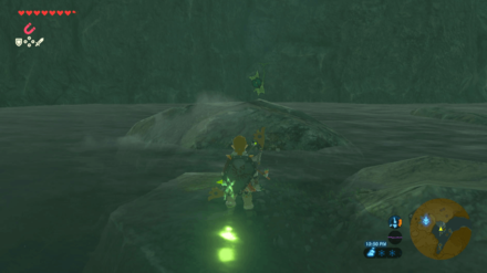 Botw - Lake Korok 51 Overworld View