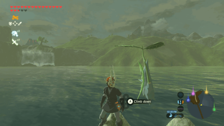 Botw - Lake Korok 66 Overworld View