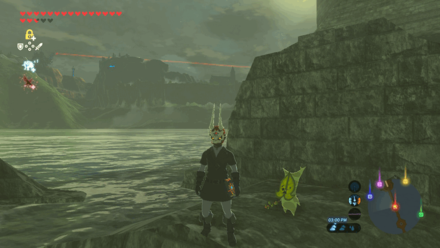 Botw - Lake Korok 65 Overworld View