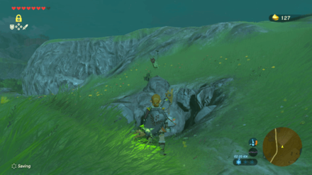 Botw - Lake Korok 52 Overworld View