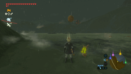 Botw - Lake Korok 58 Overworld View