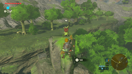 Botw - Lake Korok 53 Overworld View