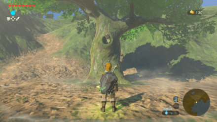 Botw - Lake Korok 55 Overworld View