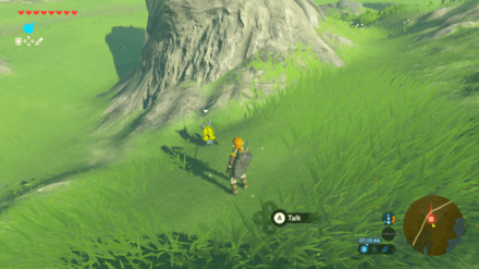 Botw - Lake Korok 57 Overworld View