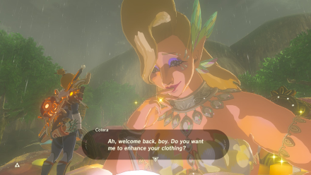 BOTW Cotera Fairy Fountain