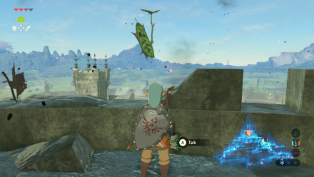 Botw - Central Korok 92 Overworld View