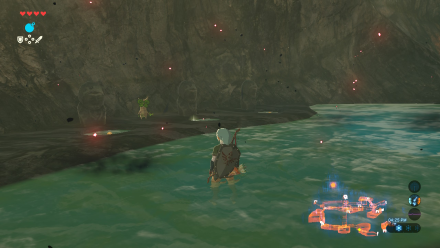 Botw - Central Korok 98 Overworld View